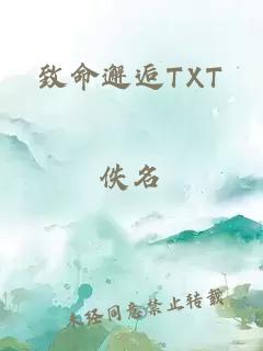 致命邂逅TXT