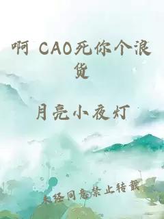 啊 CAO死你个浪货