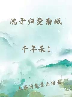 沈于归费南城