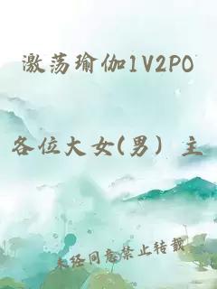 激荡瑜伽1V2PO