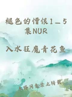 褪色的憎恨1—5集NUR