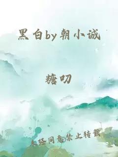 黑白by朝小诚