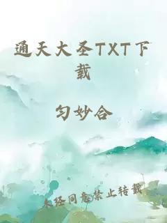 通天大圣TXT下载