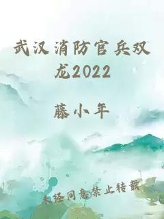 武汉消防官兵双龙2022