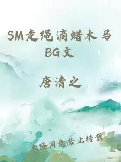 SM走绳滴蜡木马BG文