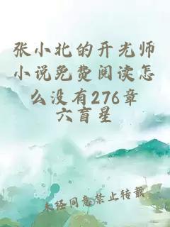 张小北的开光师小说免费阅读怎么没有276章