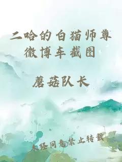 二哈的白猫师尊微博车截图