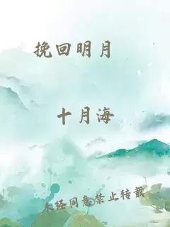 挽回明月珰