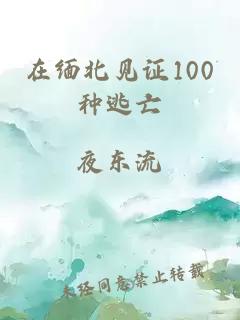 在缅北见证100种逃亡