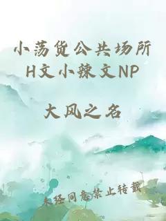 小荡货公共场所H文小辣文NP