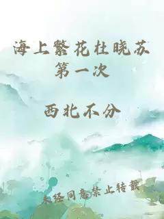 海上繁花杜晓苏第一次