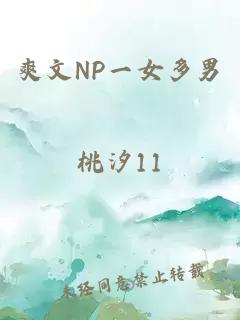 爽文NP一女多男