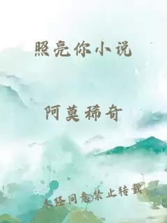 照亮你小说