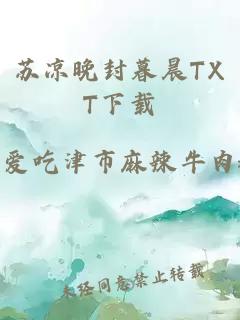 苏凉晚封暮晨TXT下载