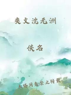 爽文沈元洲