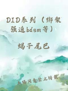 DID系列（绑架强迫bdsm等）