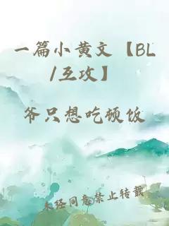 一篇小黄文【BL/互攻】