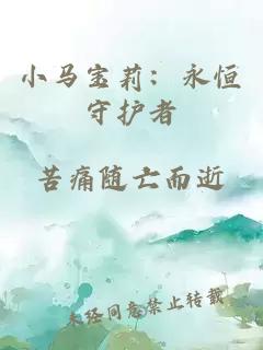 小马宝莉：永恒守护者