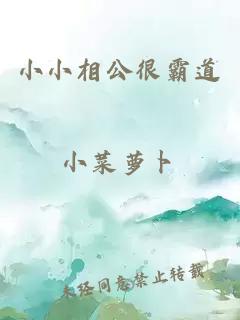 小小相公很霸道