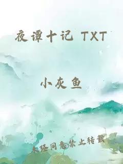 夜谭十记 TXT