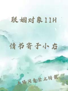 联姻对象11H