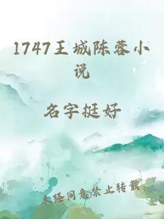 1747王城陈蓉小说