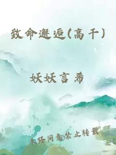 致命邂逅(高干)