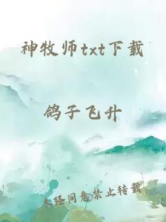 神牧师txt下载