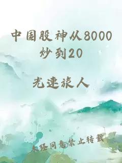 中国股神从8000炒到20