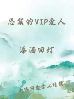 总裁的VIP爱人