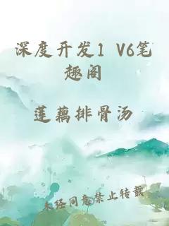 深度开发1 V6笔趣阁