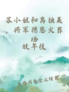 苏小姐和离独美，将军携崽火葬场